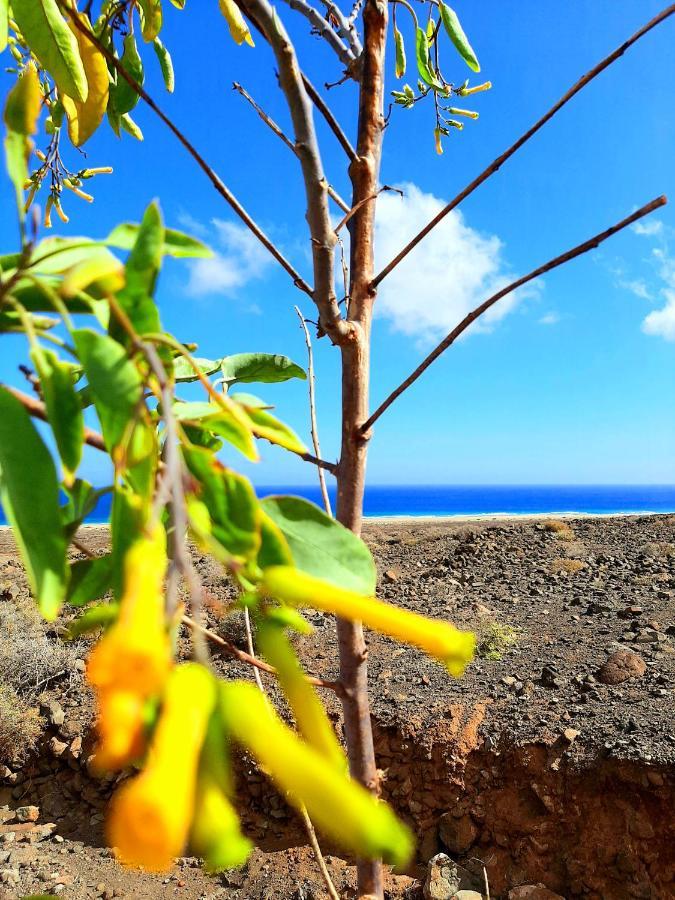 فيلا El Bounty De Playa Chica بويرتو ديل روزاريو المظهر الخارجي الصورة